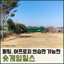 리얼숏게임-어프로치 이미지