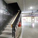 알프스애견 이미지