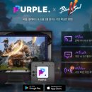 퍼플purple