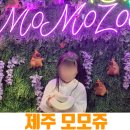 신화닥터그린방역 | [제주가볼만한곳] 모모쥬 동물원 제주신화월드점 3종 먹이 패키지 들고 다녀온 생생한 교감 후기!