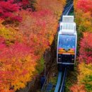궁뜰 맛있는 발효밥상 곤지암맛집 화담숲맛집 이미지