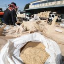 송탄농협미곡종합처리장 이미지