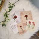 꽃다시만나