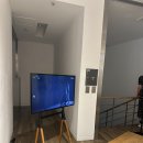 코끼리들이 웃는다 이미지