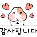 떡사랑풍년떡집