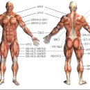 휘트니스W 이미지