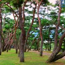 피재골약수터 이미지