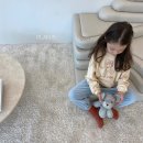 퍼피플랜 이미지