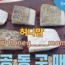 푸른드리