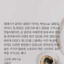 이런 기숙 학교 배경 작품들 특유의 분위기가 좋덜아 이미지