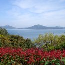 장사도해상공원 이미지