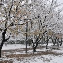 뚝섬한강공원-11 이미지