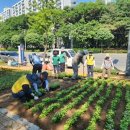 세교동주민센터 사거리 네이버블로그