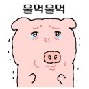 히히냥냥 이미지