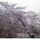 더 본짐 이미지