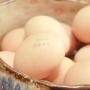 자유농장 이미지