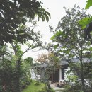 위미쉼팡 이미지