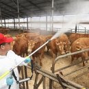 인천축산업협동조합 이미지
