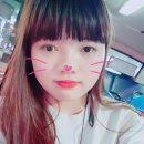 송백로-4 이미지