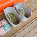 원주자연 이미지