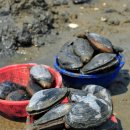 유포어촌체험마을 이미지