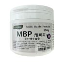 비다보아 이미지