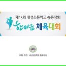 내성초등학교 이미지