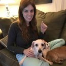 채선농장 이미지