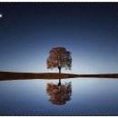 송림한옥 이미지