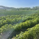 현진농장 이미지