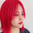 헤어로그 정