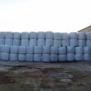 형제영농조합법인 이미지