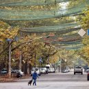 Dans la presse : un safari humain à Kherson, des filets bretons, et savez-v 이미지