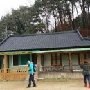 내린천약초 이미지