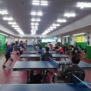 힐링탁구 이미지