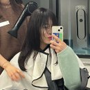 하이초도 | 반월당미용실 하이초이에서 펌하러 갔다가 빠꾸 먹고 볼륨매직한 후기