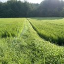 해이 민박 이미지