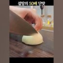 살찌개 이미지