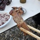 대창수세미농원 | 정선캠핑장 가네골농원 조용하고 뷰 좋은곳