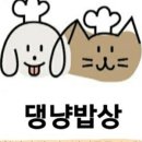 댕냥밥상 이미지