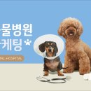 자연동물병원 이미지
