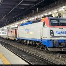 H4437 티스토리