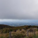 효민이네 하우스 이미지