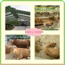 천풍농장 이미지