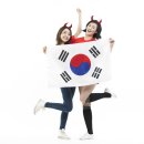 성당농업협동조합 | 이순신 장군 쌀 출시 예정 - 마케팅 기획으로 태극기 증정
