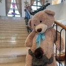 세종 베어트리파크 : 25개월 아기랑 봄꽃축제 후기 (웰컴레스토랑 방문)