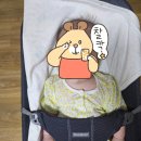 현명한선택 | [육아용품] 베이비뵨 바운서 대여 후기 - 아기와나를위한현명한선택 대여 후기
