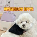 피치프라이빗 그루미파우치 스몰사이즈 후기 비숑 슬리커 콤 정리함