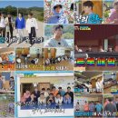 코리아1위인삼
