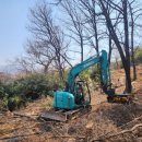 우일주유소 이미지